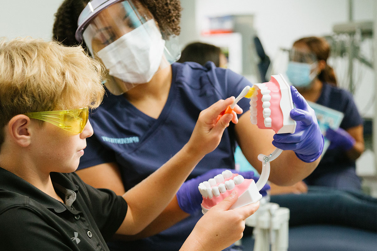 Juego de dientes de modelo de cepillado para paciente dental